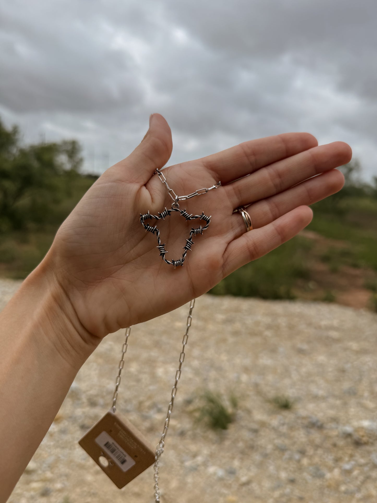 Barbwire Necklaces