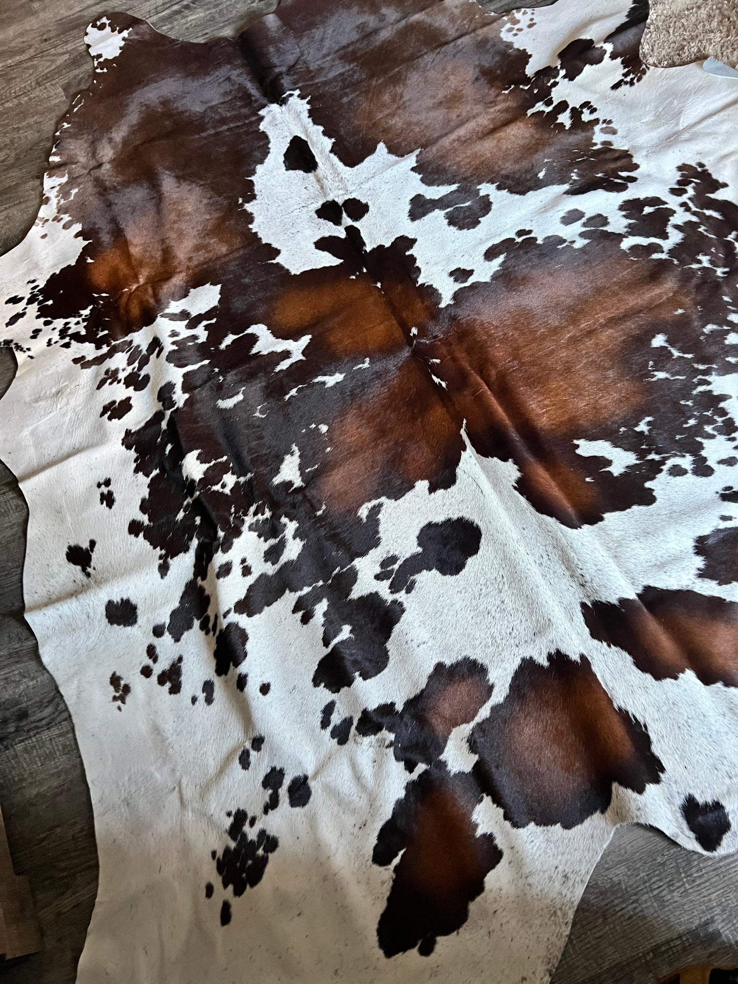 Tricolor Cowhide Rug