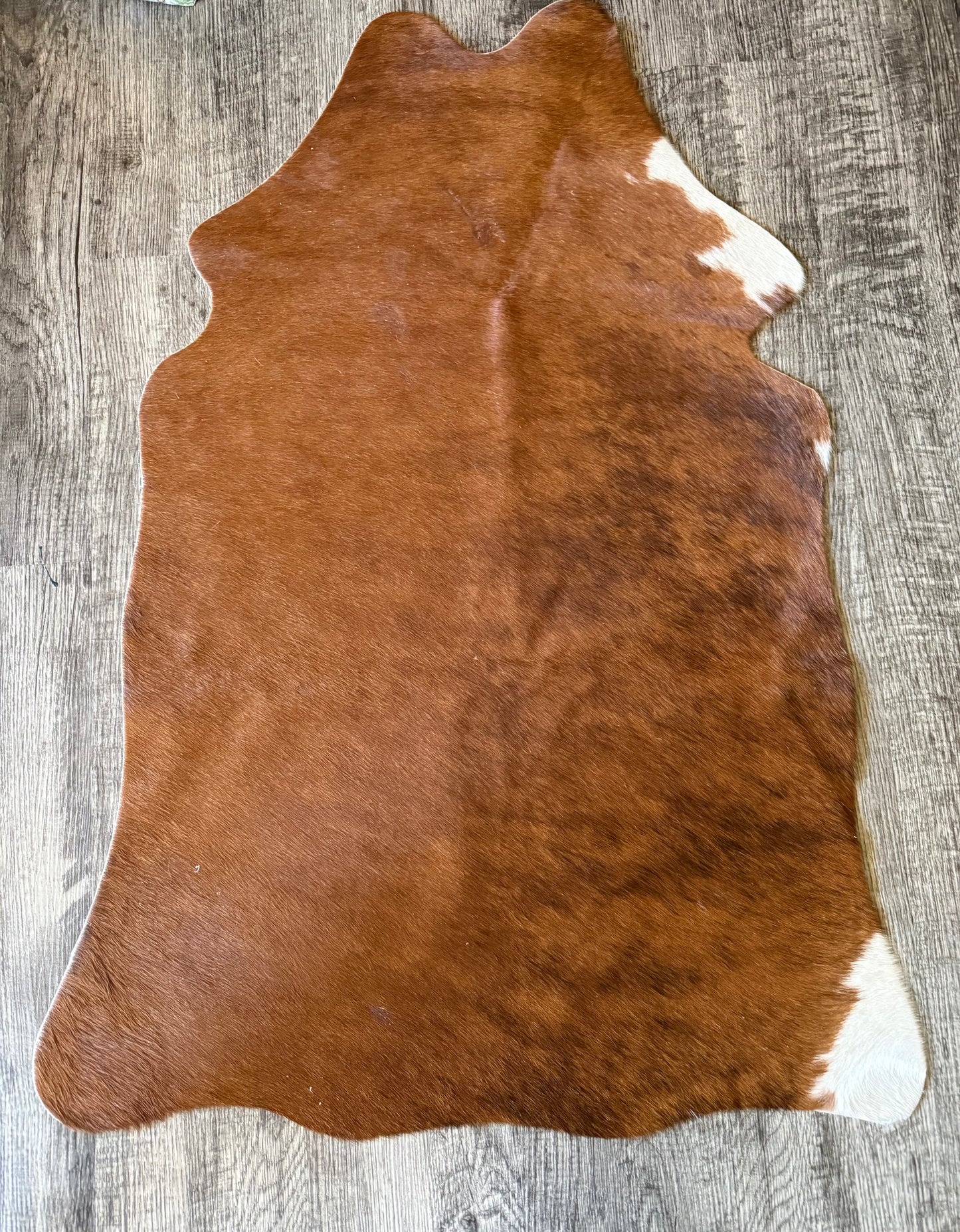 Calf Hides